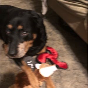 Meet your Posher, Scott